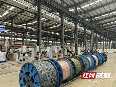 技術驅動產品競爭力提升 望城經開區企業用產品助力疫情防控